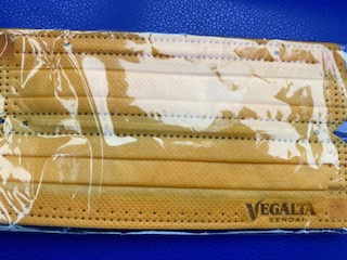 f:id:comeonvega:20210714061503j:plain