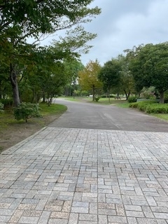 f:id:comeonvega:20210912074304j:plain