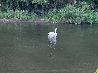 f:id:comeonvega:20210929064529j:plain