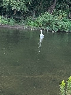 f:id:comeonvega:20210929064644j:plain