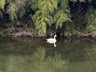 f:id:comeonvega:20220123071413j:plain