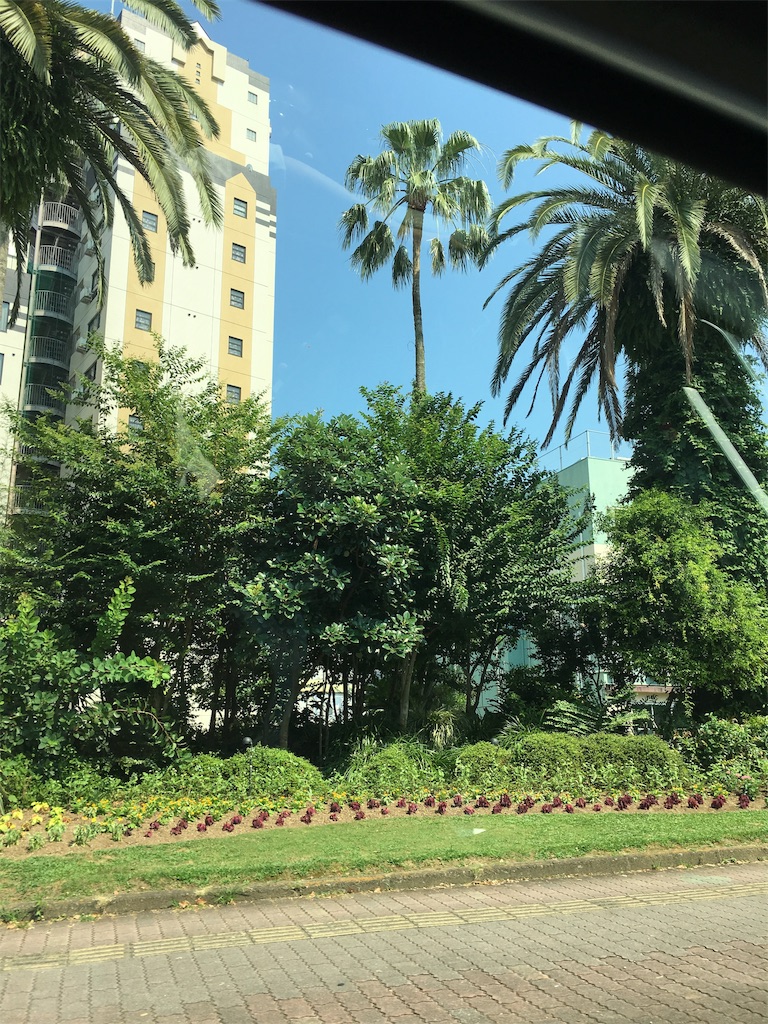 f:id:cometarohpharma:20190530144516j:image