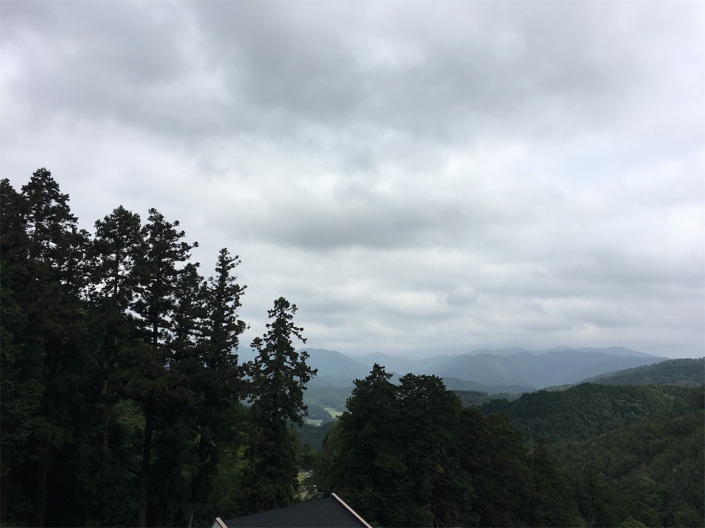 f:id:cometarohpharma:20190609160112j:image