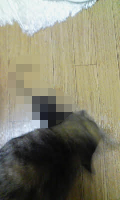 f:id:comicdays_team:20171223091936j:plain
