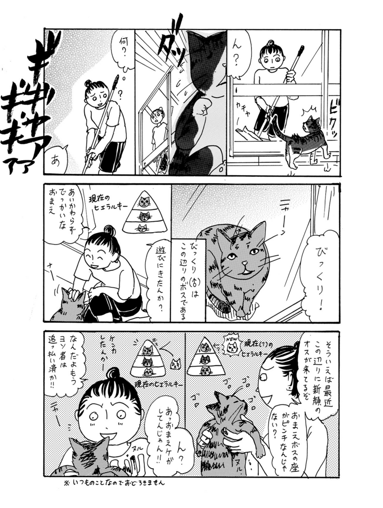 ネコに勝てない 飼ってない猫 その22 キャットカースト エッセイまんが コミックdays 編集部ブログ ネコに勝てない 飼ってない猫 その22 キャットカースト エッセイまんが コミックdays 編集部ブログ
