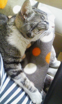 f:id:comicdays_team:20180308112807j:plain f:id:comicdays_team:20180308112807j:plain