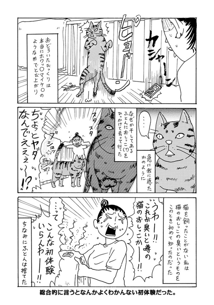 【ネコに勝てない】飼ってない猫 その33「キマッたびっくり」【エッセイまんが】 コミックDAYS編集部ブログ 【ネコに勝てない】飼ってない猫 その33「キマッたびっくり」【エッセイまんが】 コミックDAYS編集部ブログ