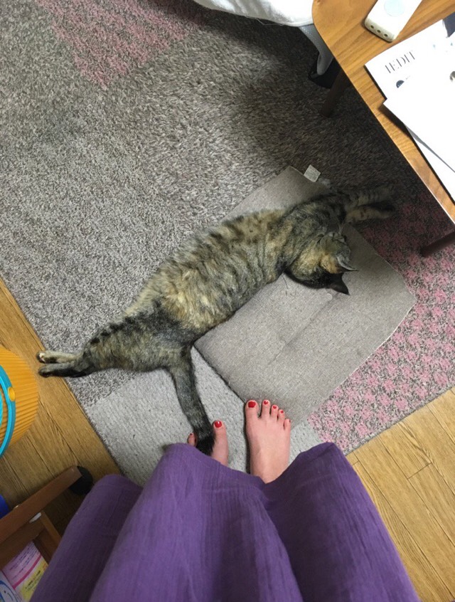 f:id:comicdays_team:20180404150004j:plain