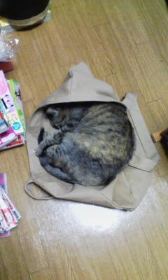 f:id:comicdays_team:20180509225711j:plain