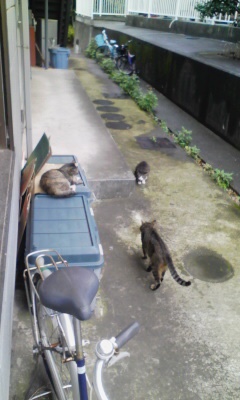 f:id:comicdays_team:20180531135646j:plain f:id:comicdays_team:20180531135646j:plain width=