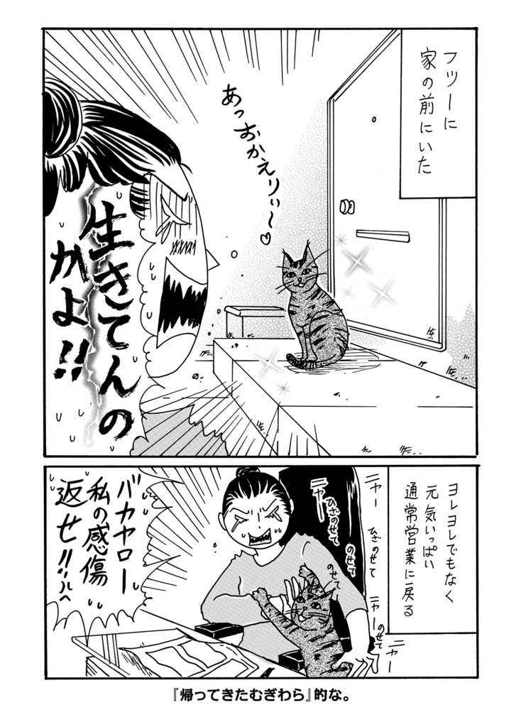 ネコに勝てない】飼ってない猫 その４６「さよならむぎわら 