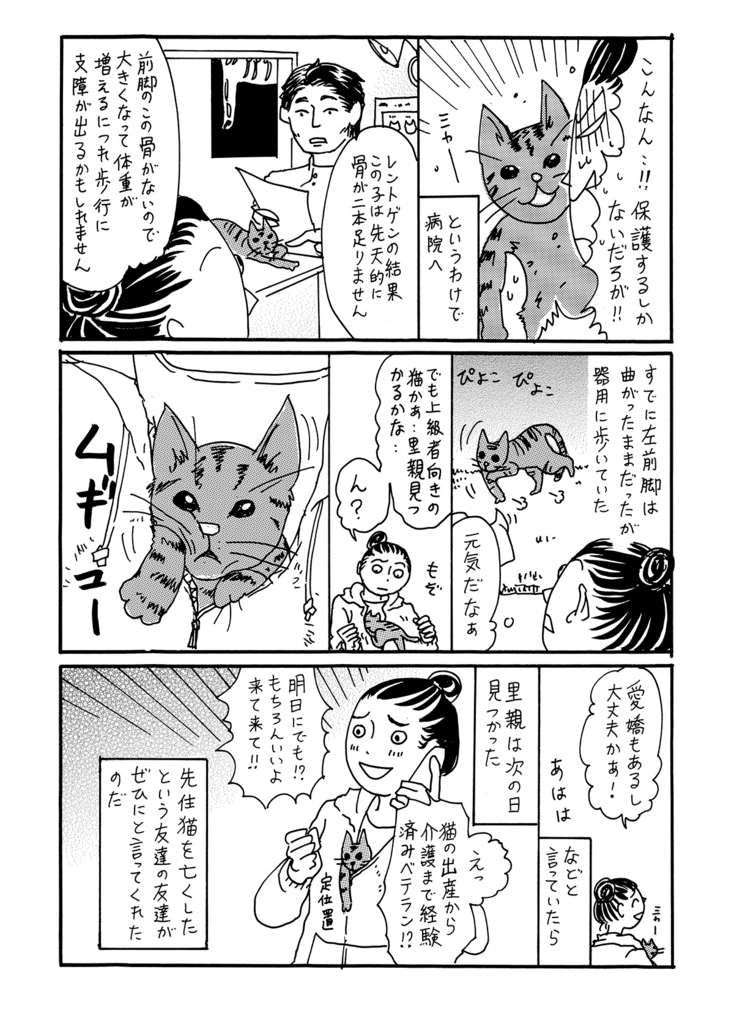 f:id:comicdays_team:20180705162037j:plain