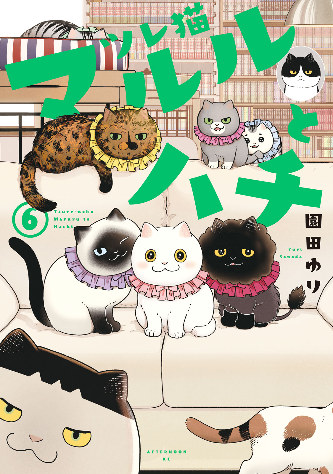 『ツレ猫 マルルとハチ』⑥巻