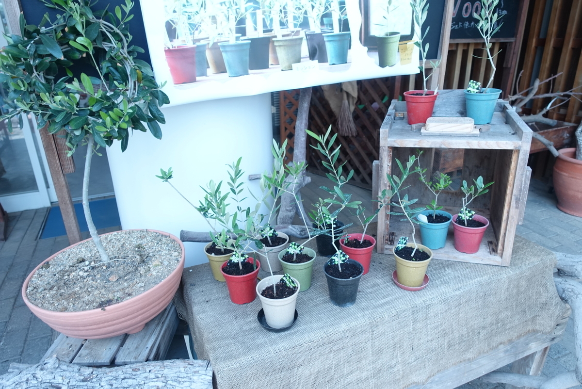 f:id:comiguro_saiyo2019:20190509200248j:plain f:id:comiguro_saiyo2019:20190509200248j:plain
