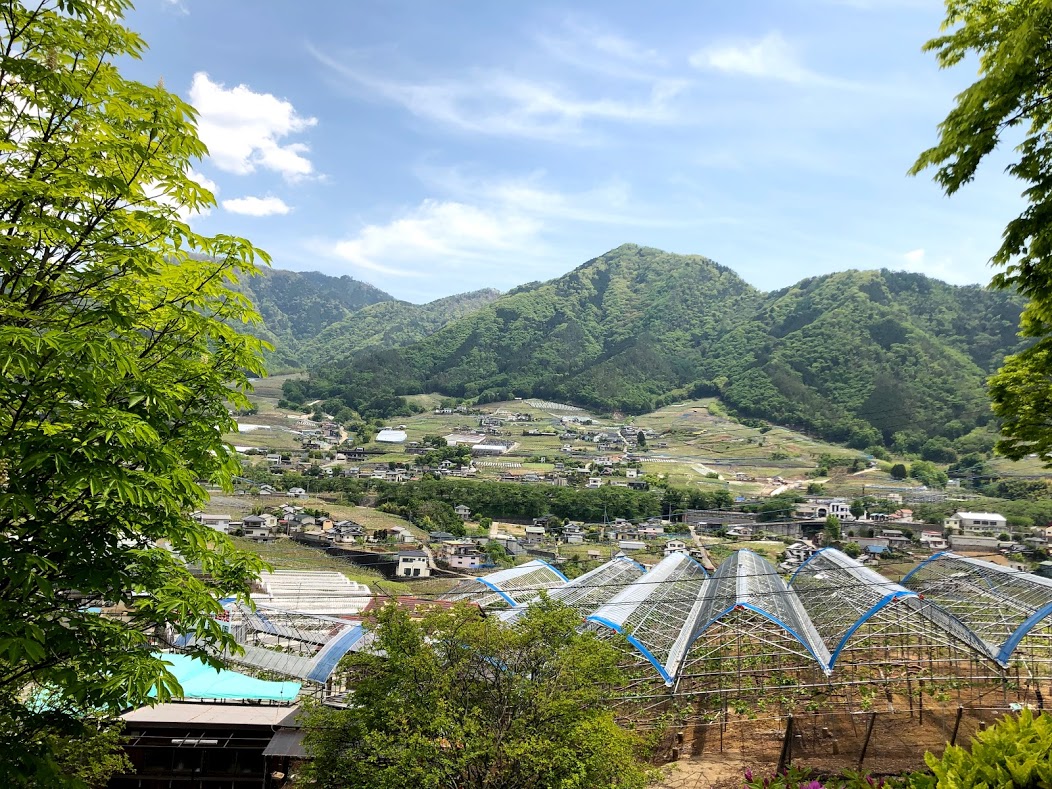 f:id:comiguro_saiyo2019:20190515192823j:plain f:id:comiguro_saiyo2019:20190515192823j:plain
