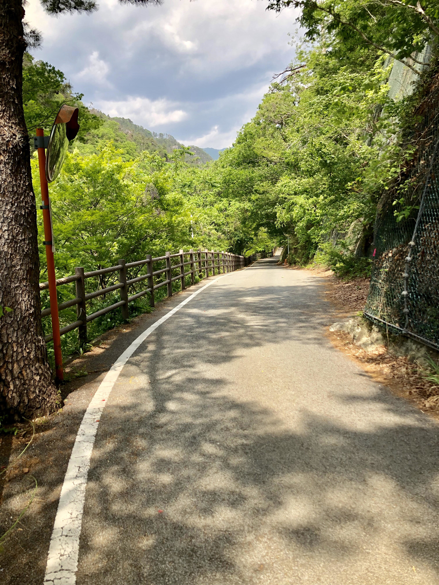 f:id:comiguro_saiyo2019:20190517100606j:plain f:id:comiguro_saiyo2019:20190517100606j:plain