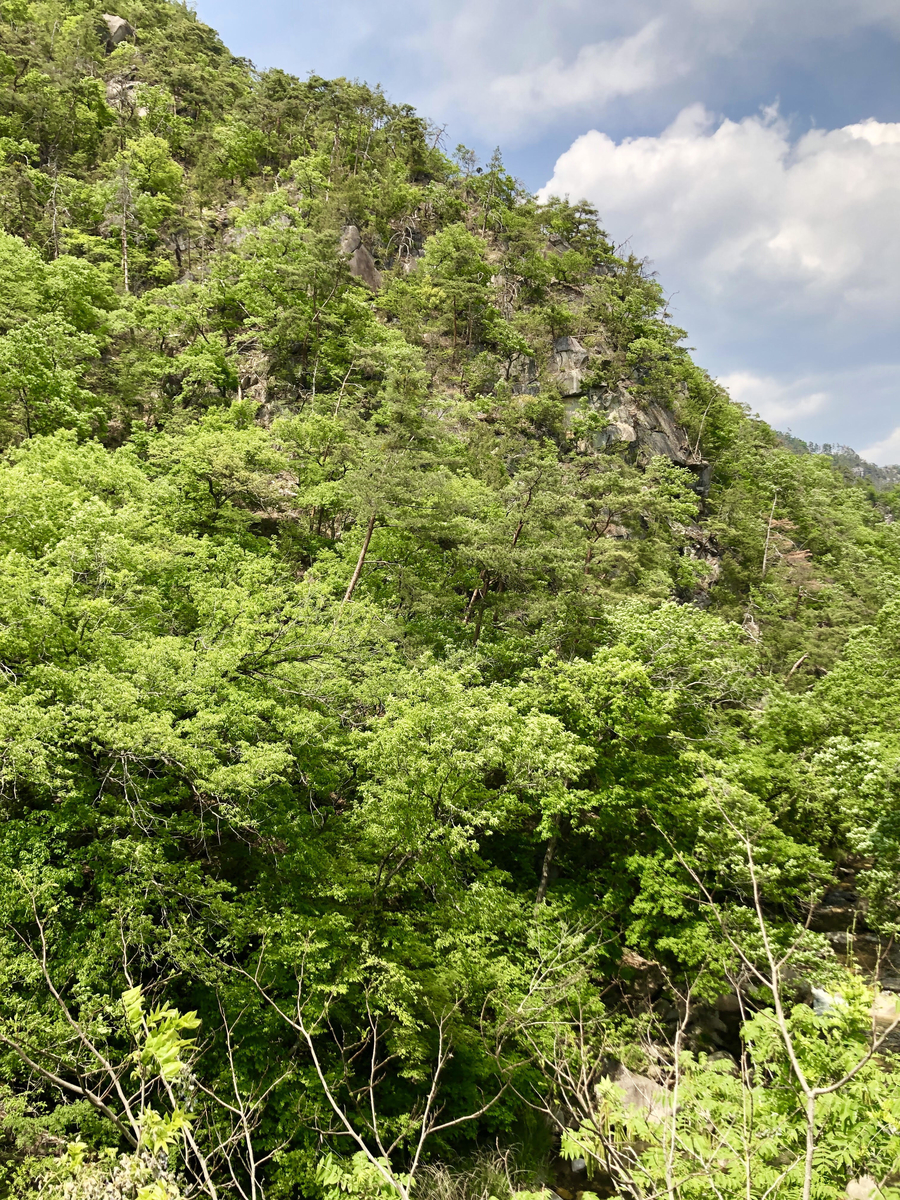 f:id:comiguro_saiyo2019:20190517100718j:plain f:id:comiguro_saiyo2019:20190517100718j:plain