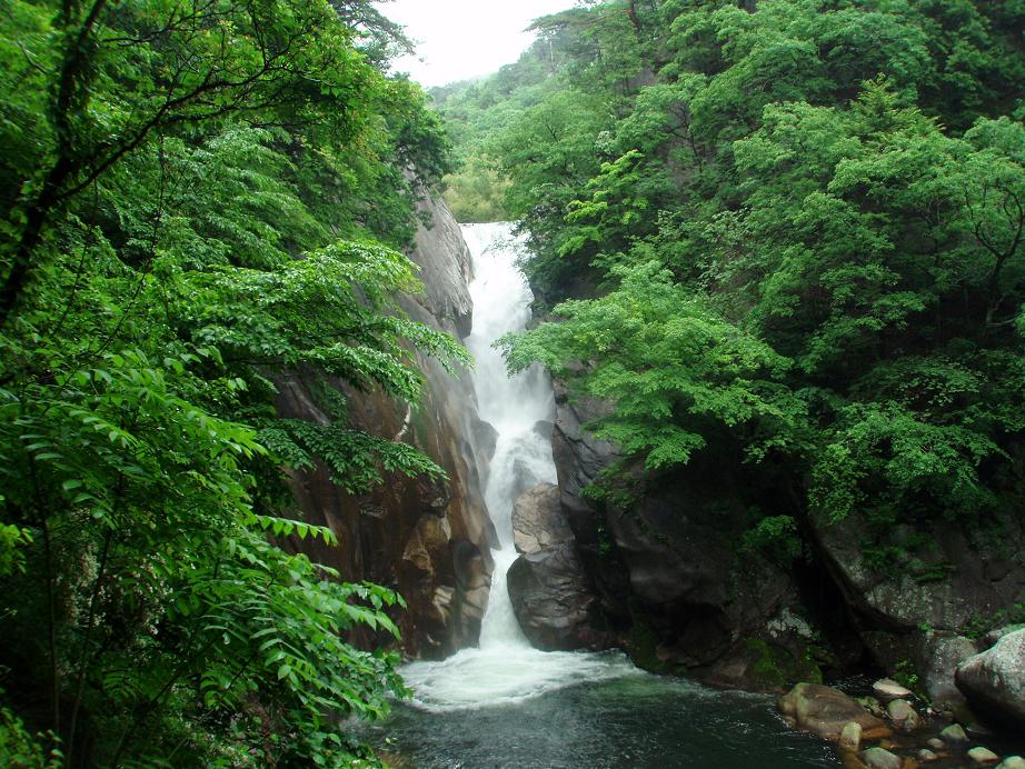 f:id:comiguro_saiyo2019:20190528145043j:plain f:id:comiguro_saiyo2019:20190528145043j:plain