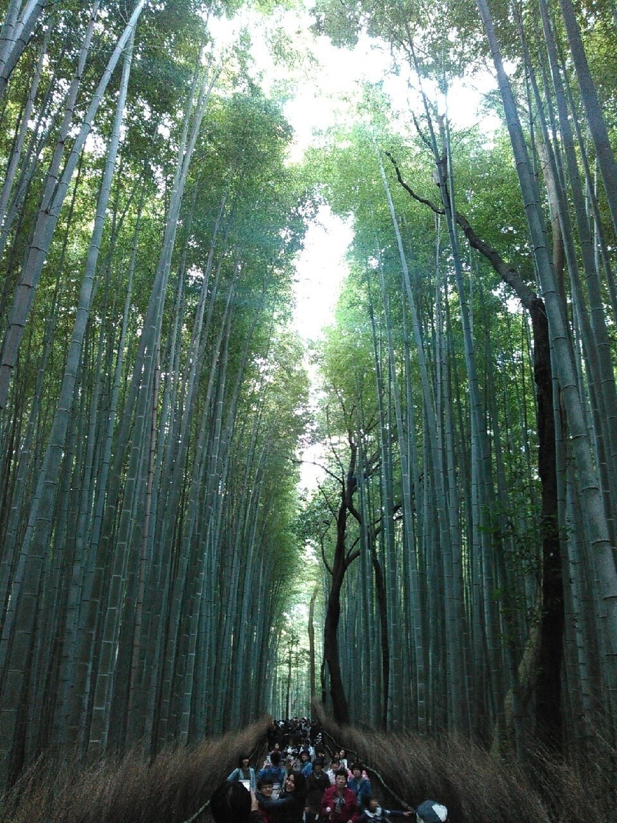 f:id:comiguro_saiyo2019:20190531185409j:plain f:id:comiguro_saiyo2019:20190531185409j:plain