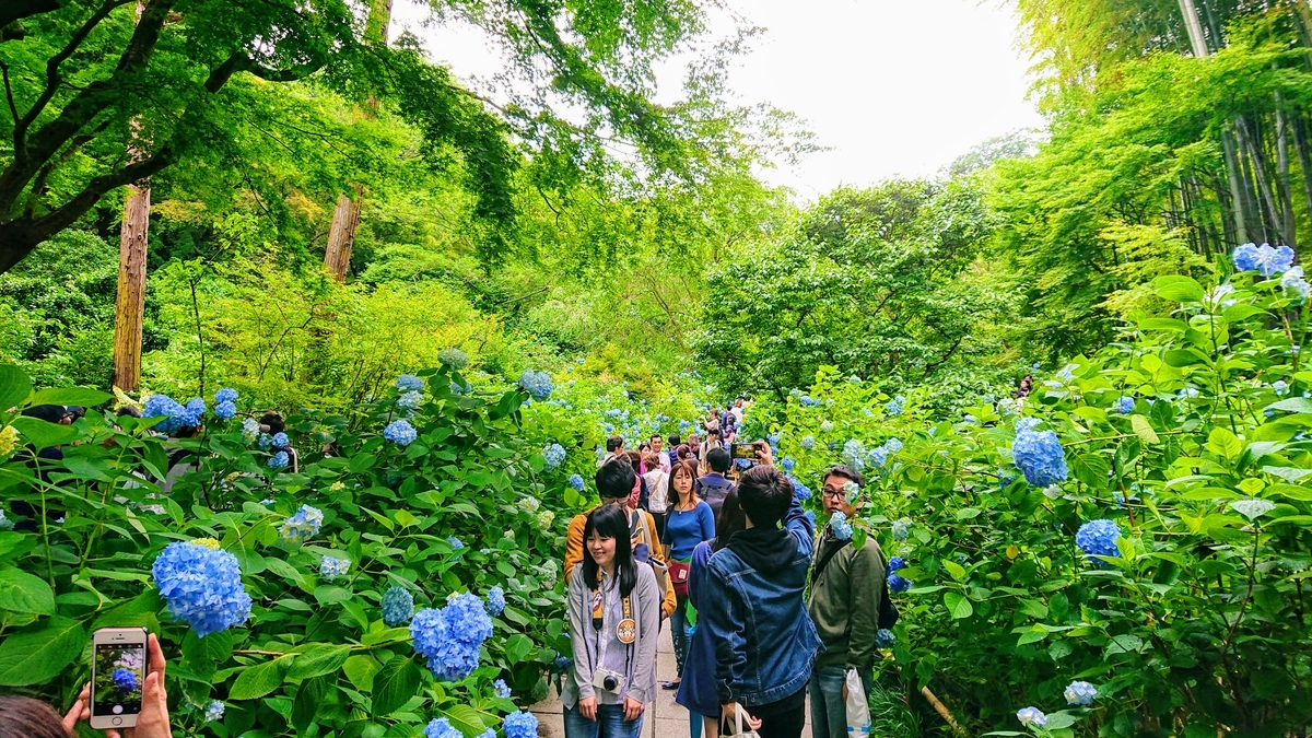 f:id:comiguro_saiyo2019:20190610174401j:plain f:id:comiguro_saiyo2019:20190610174401j:plain