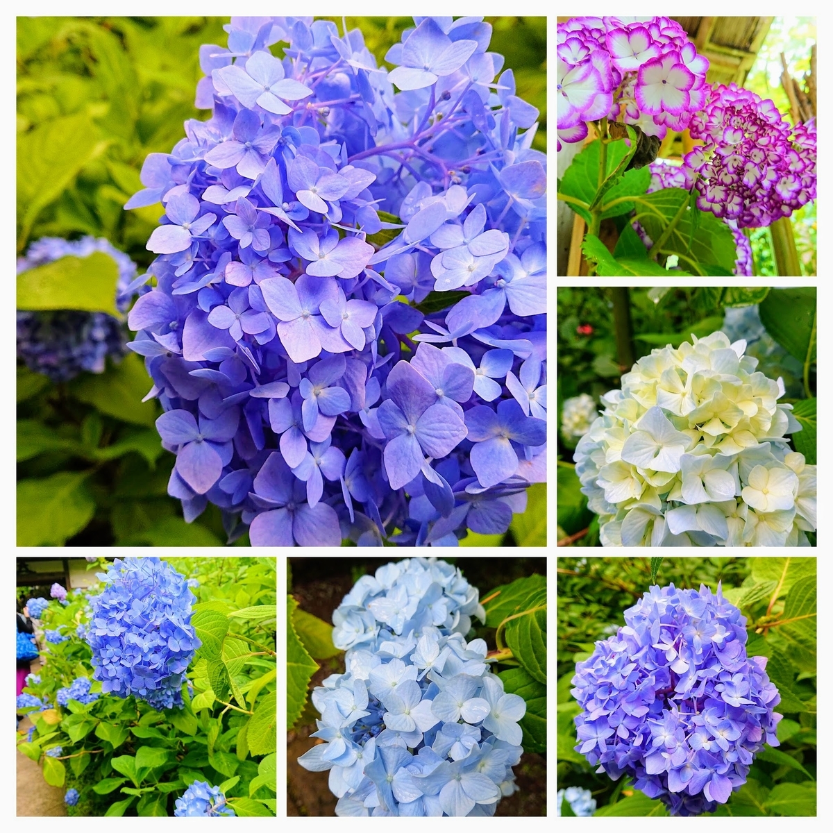 f:id:comiguro_saiyo2019:20190610174719j:plain f:id:comiguro_saiyo2019:20190610174719j:plain