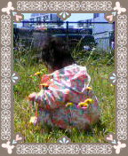 f:id:commeilfaitbeau:20130506003224j:image