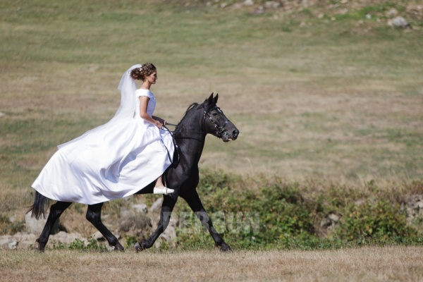 mariée sur le cheval