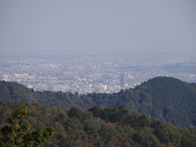 イメージ 2