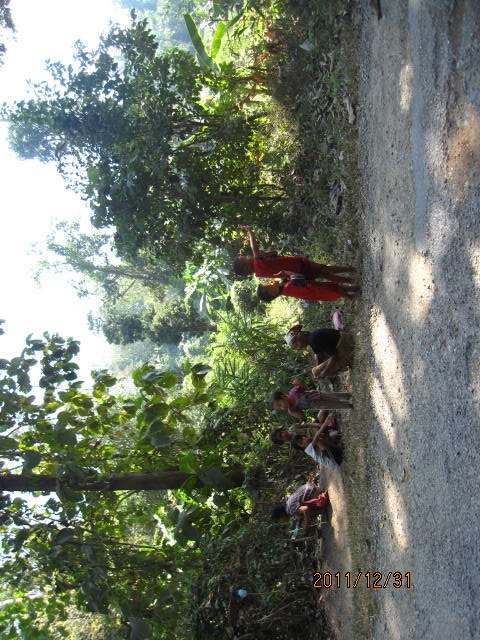 イメージ 4