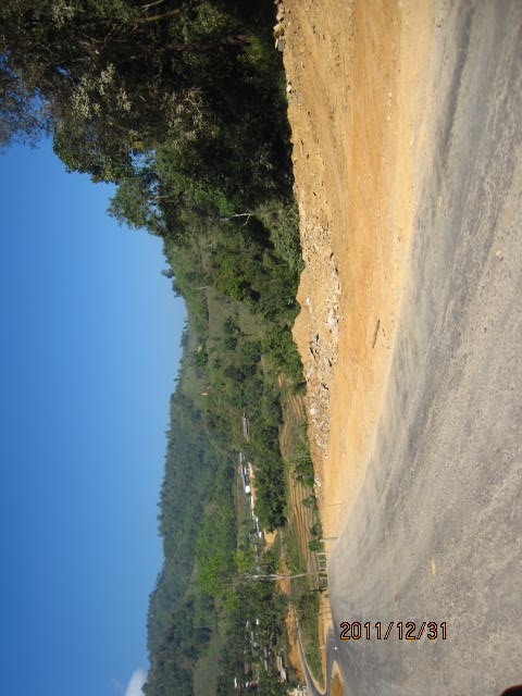 イメージ 7
