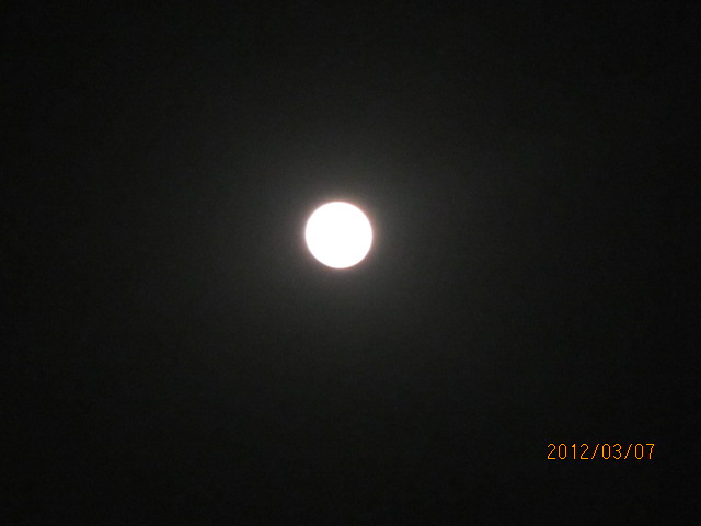 イメージ 11
