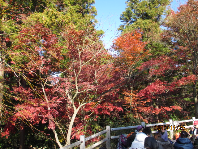 イメージ 6