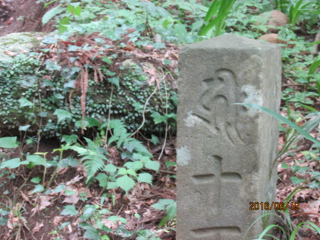 イメージ 10
