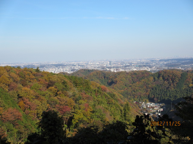 イメージ 3