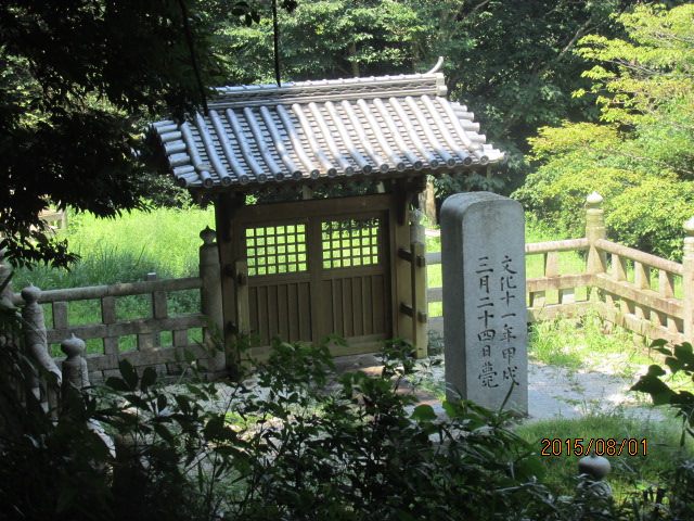 イメージ 10