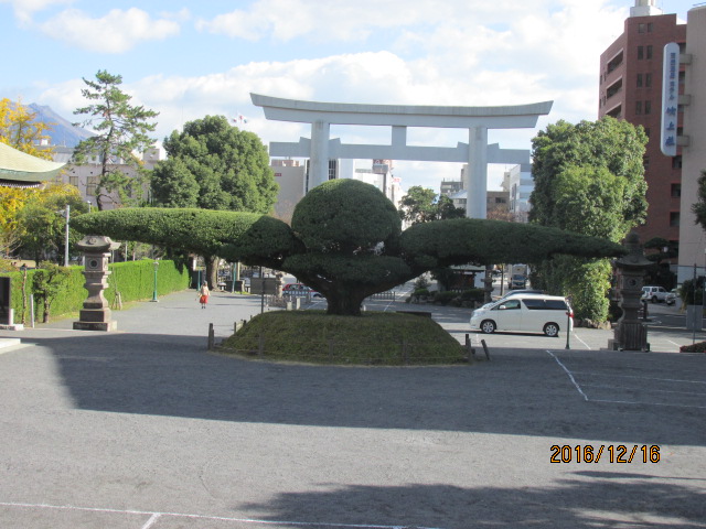 イメージ 12