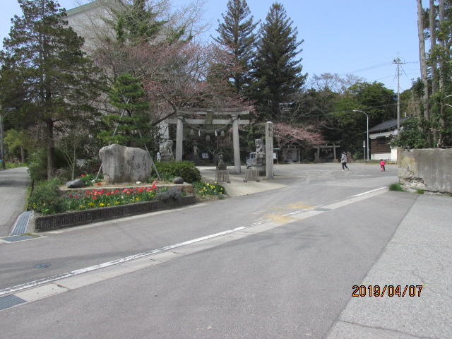 イメージ 7