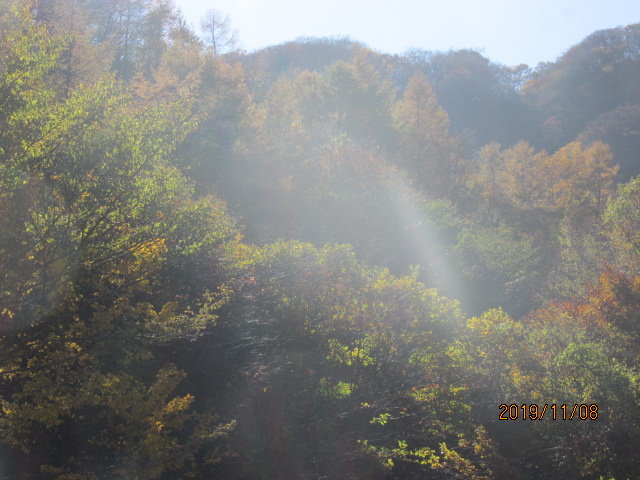 f:id:commodore:20191115180135j:plain