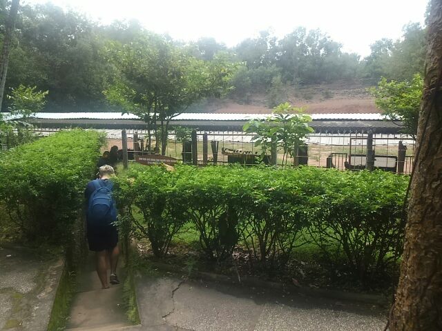 f:id:commodore:20191213183950j:plain f:id:commodore:20191213183950j:plain