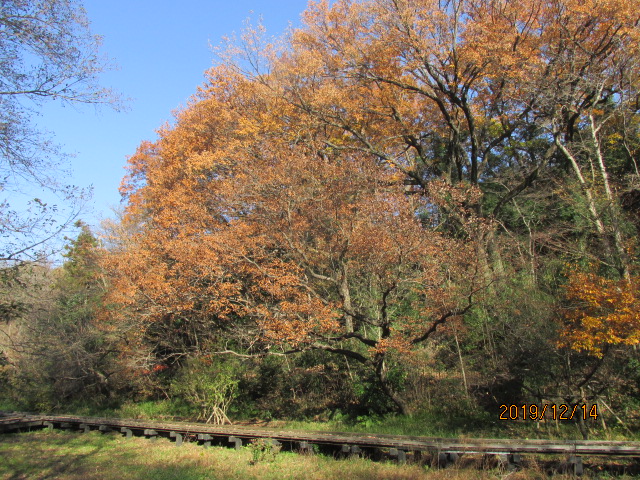 f:id:commodore:20191226172941j:plain f:id:commodore:20191226172941j:plain