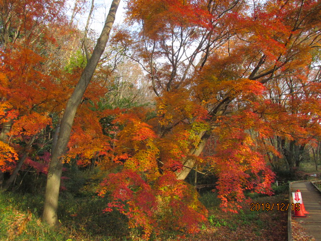 f:id:commodore:20191226174736j:plain