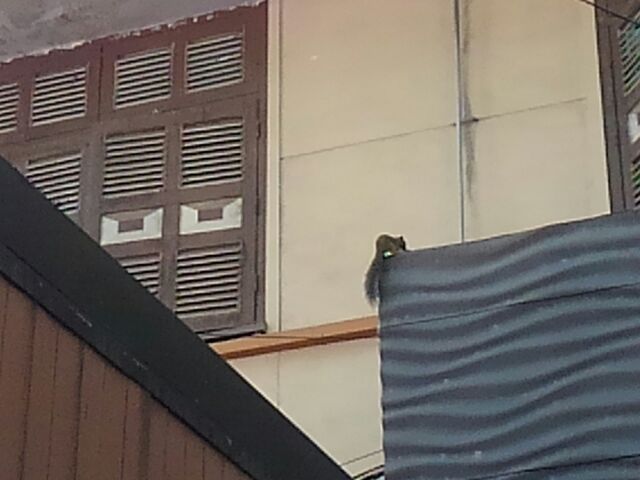 f:id:commodore:20200105201835j:plain