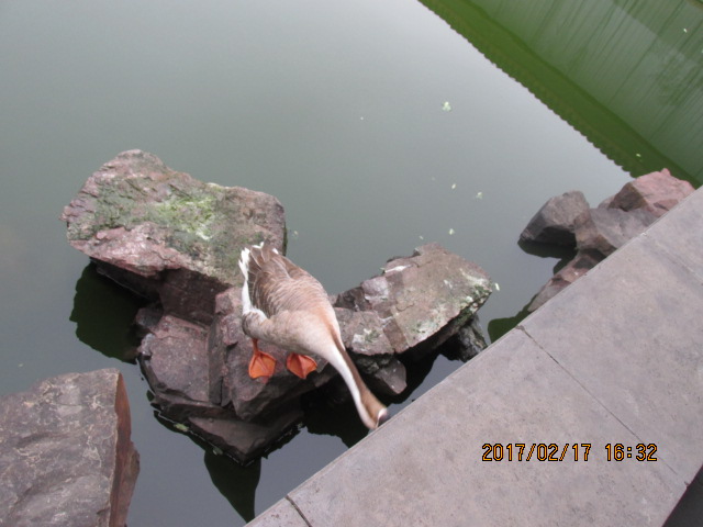 f:id:commodore:20200127212648j:plain