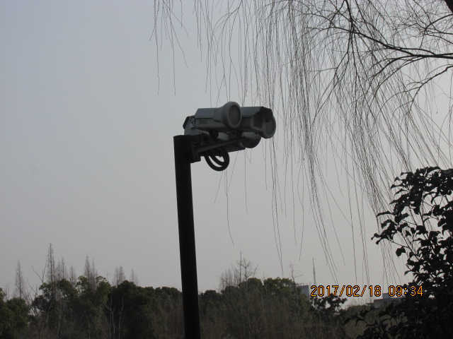 f:id:commodore:20200209205808j:plain