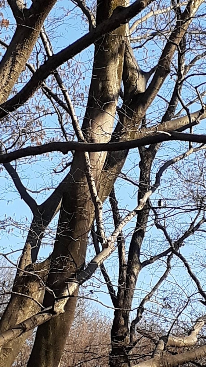 f:id:commodore:20200212213807j:plain f:id:commodore:20200212213807j:plain