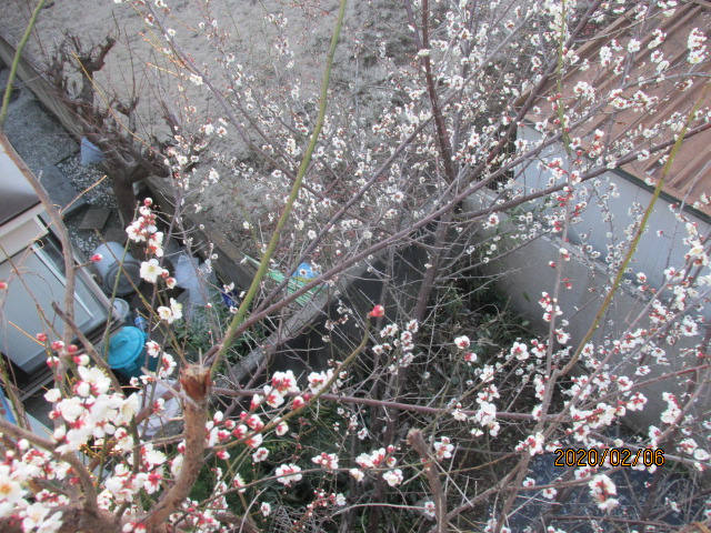 f:id:commodore:20200216184420j:plain f:id:commodore:20200216184420j:plain