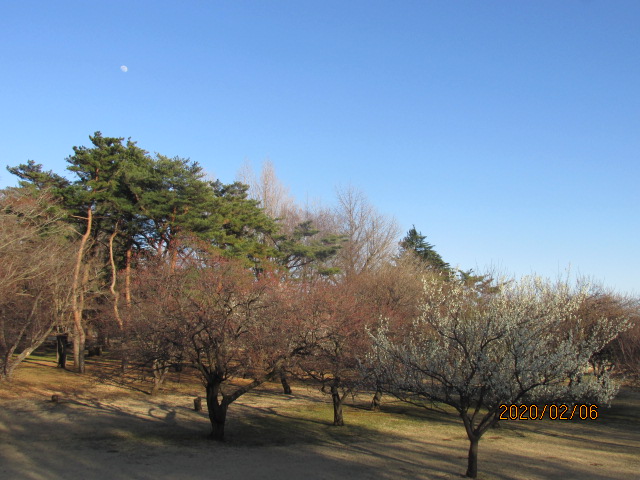 f:id:commodore:20200218121810j:plain