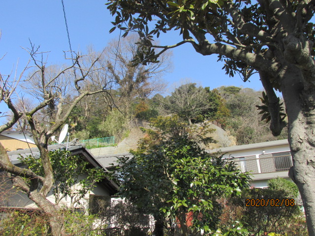 f:id:commodore:20200218122541j:plain f:id:commodore:20200218122541j:plain