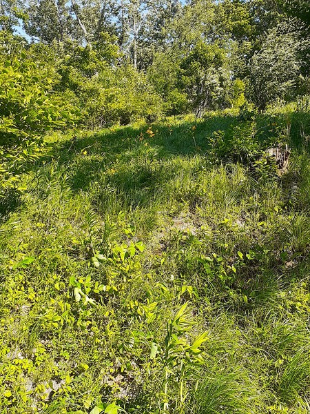 f:id:commodore:20200510212214j:plain