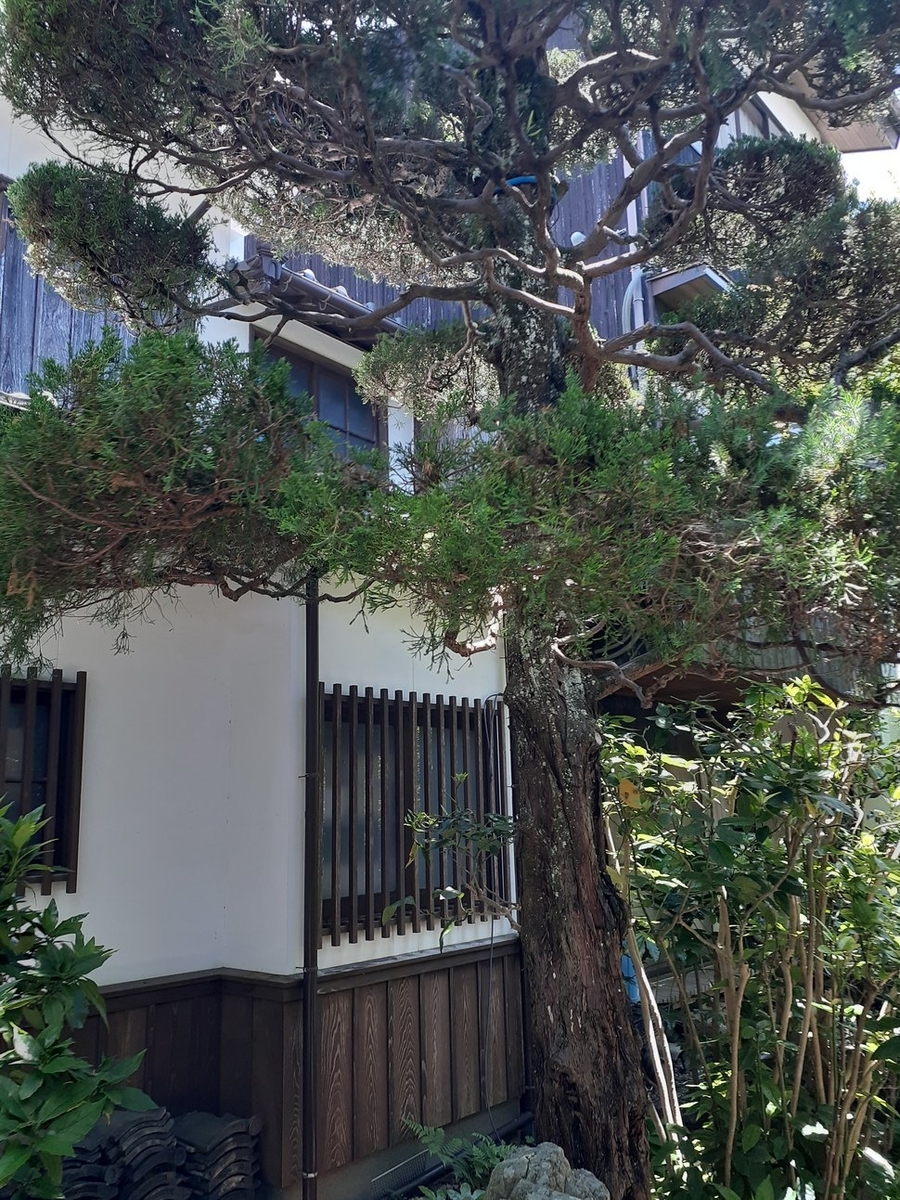 f:id:commodore:20200724174207j:plain